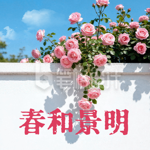 春日文案分享实景公众号次图