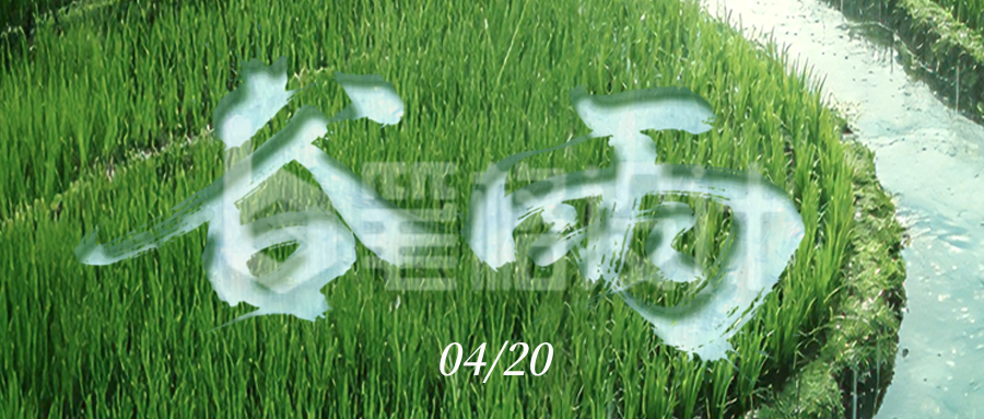 清新文艺谷雨公众号首图