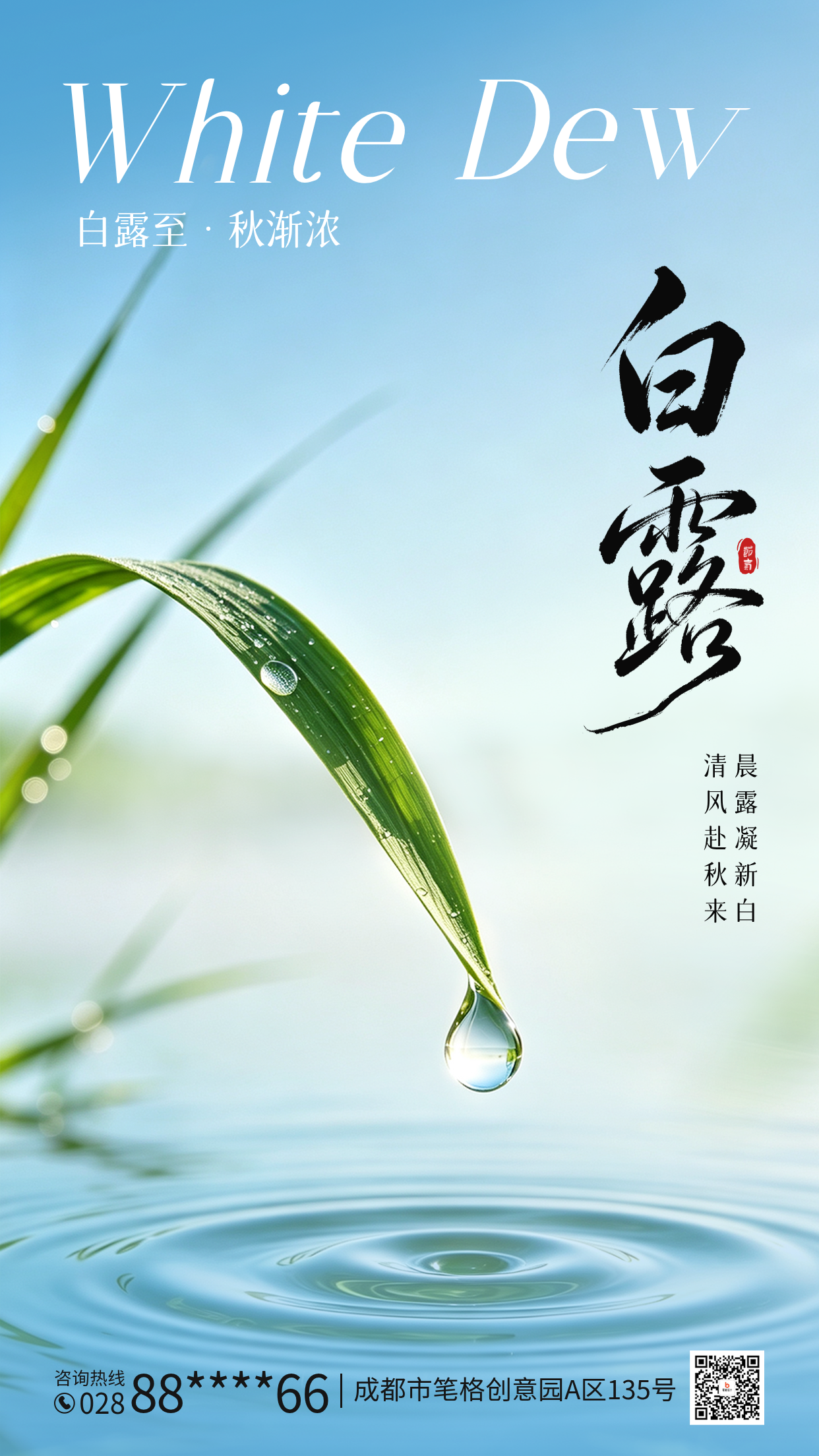 白露实景祝福海报