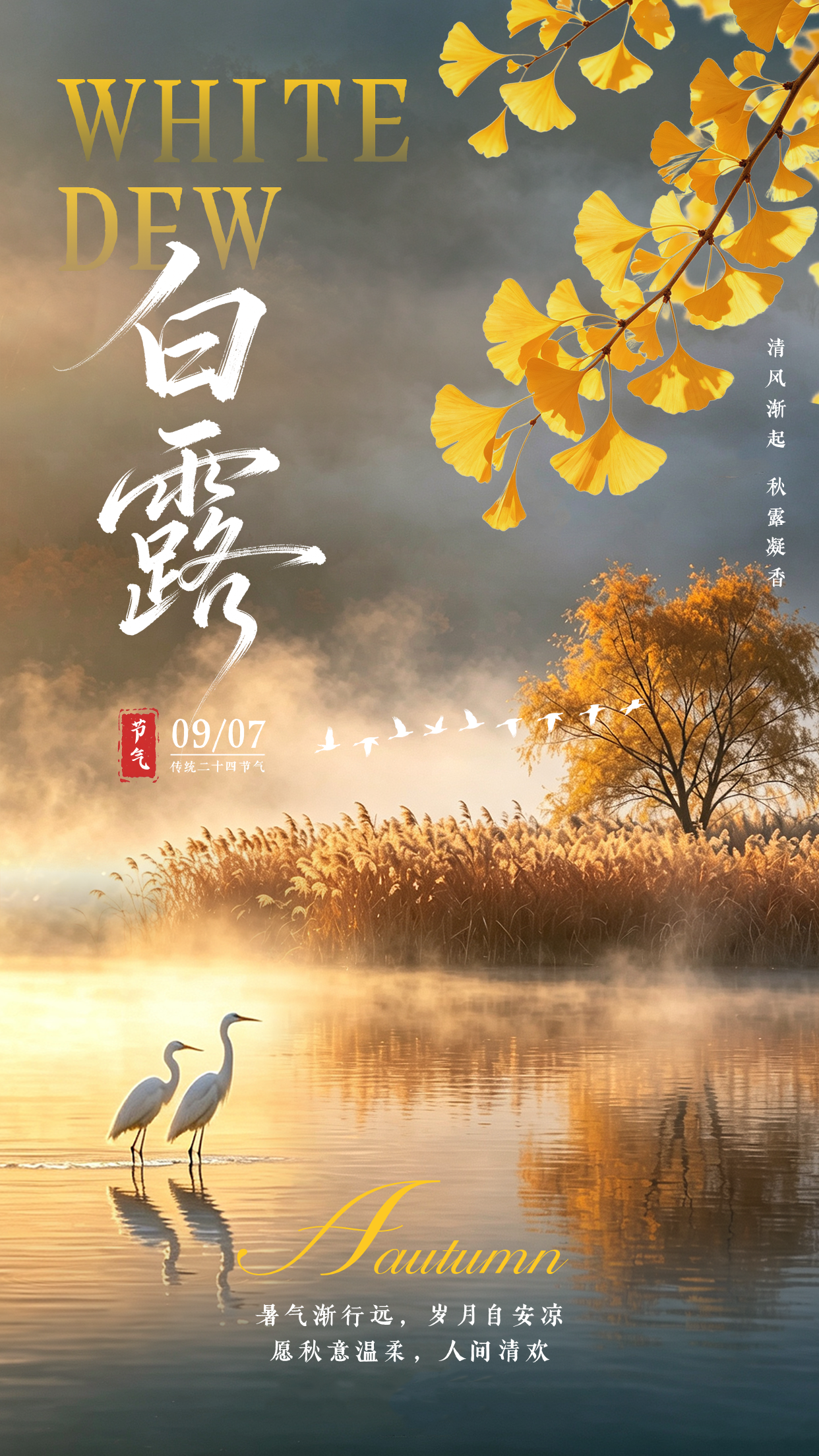 白露节气祝福风景宣传海报