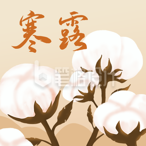 寒露节气手绘棉花插画简约公众号次图