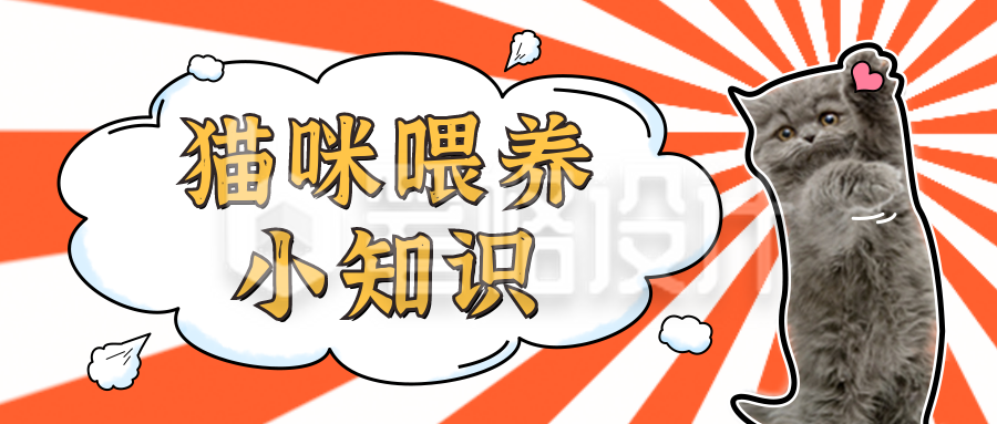 简约可爱猫咪喂养小知识公众号封面首图