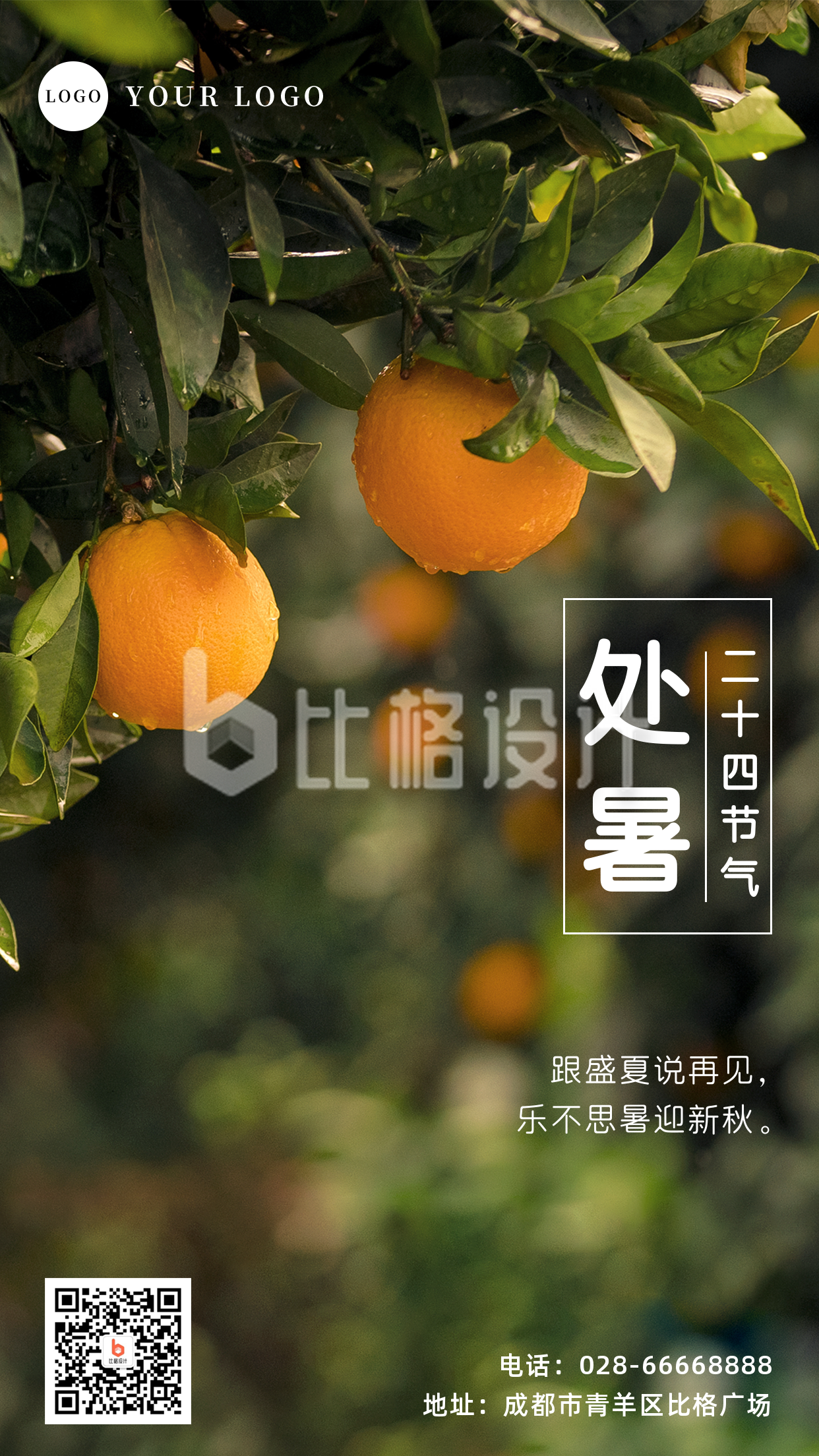 处暑橘子实景节气手机海报
