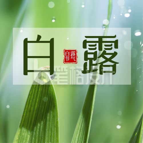 白露节气简约实景绿色公众号次图