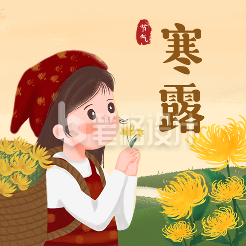 寒露节气小女孩采菊花卡通插画公众号次图