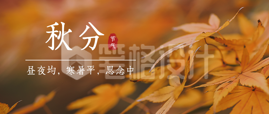 秋分节气秋天你好枫叶落叶实景公众号首图