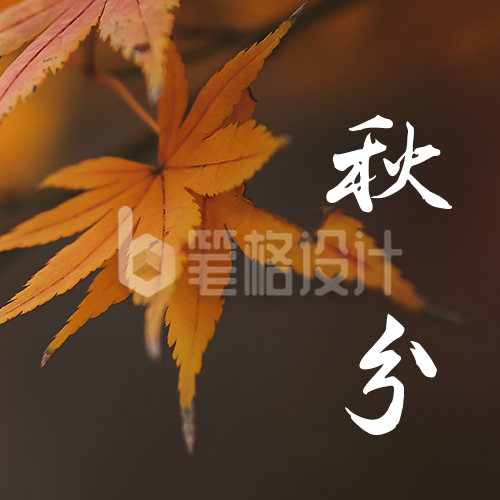 秋分节气秋天你好枫叶实景简约公众号次图