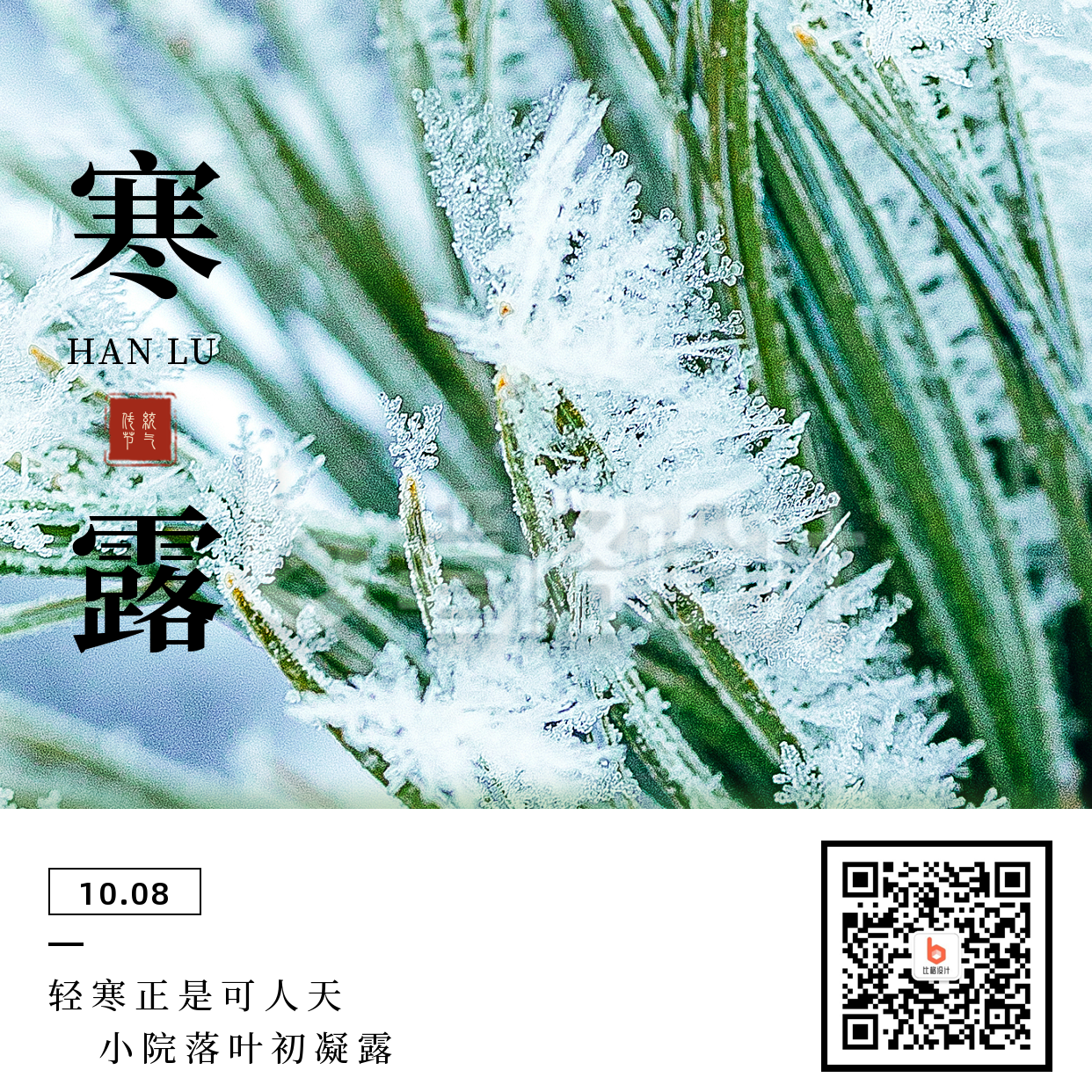 简约实景寒露节气方形海报