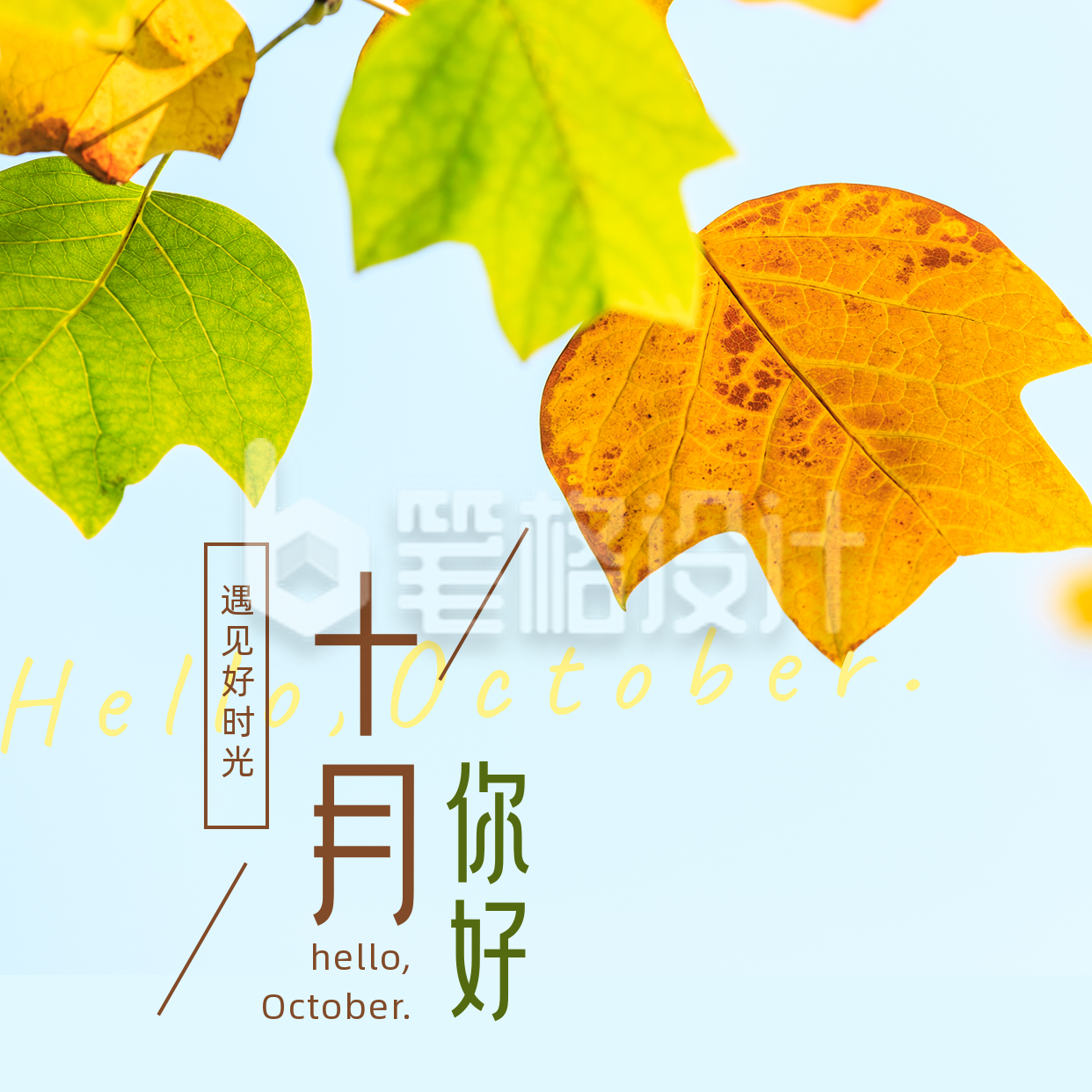 实景十月你好月初问候方形海报 实景十月你好月初问候方形海报