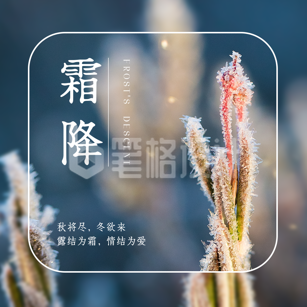 简约霜降节气方形海报2