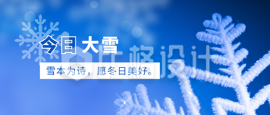 大雪小雪节气冬天雪花实景蓝色公众号首图