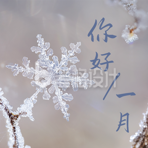 冬季雪花一月你好公众号封面次图