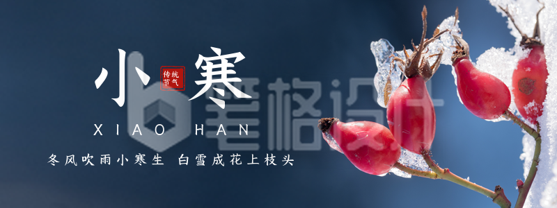 冬季实景小寒节气胶囊banner