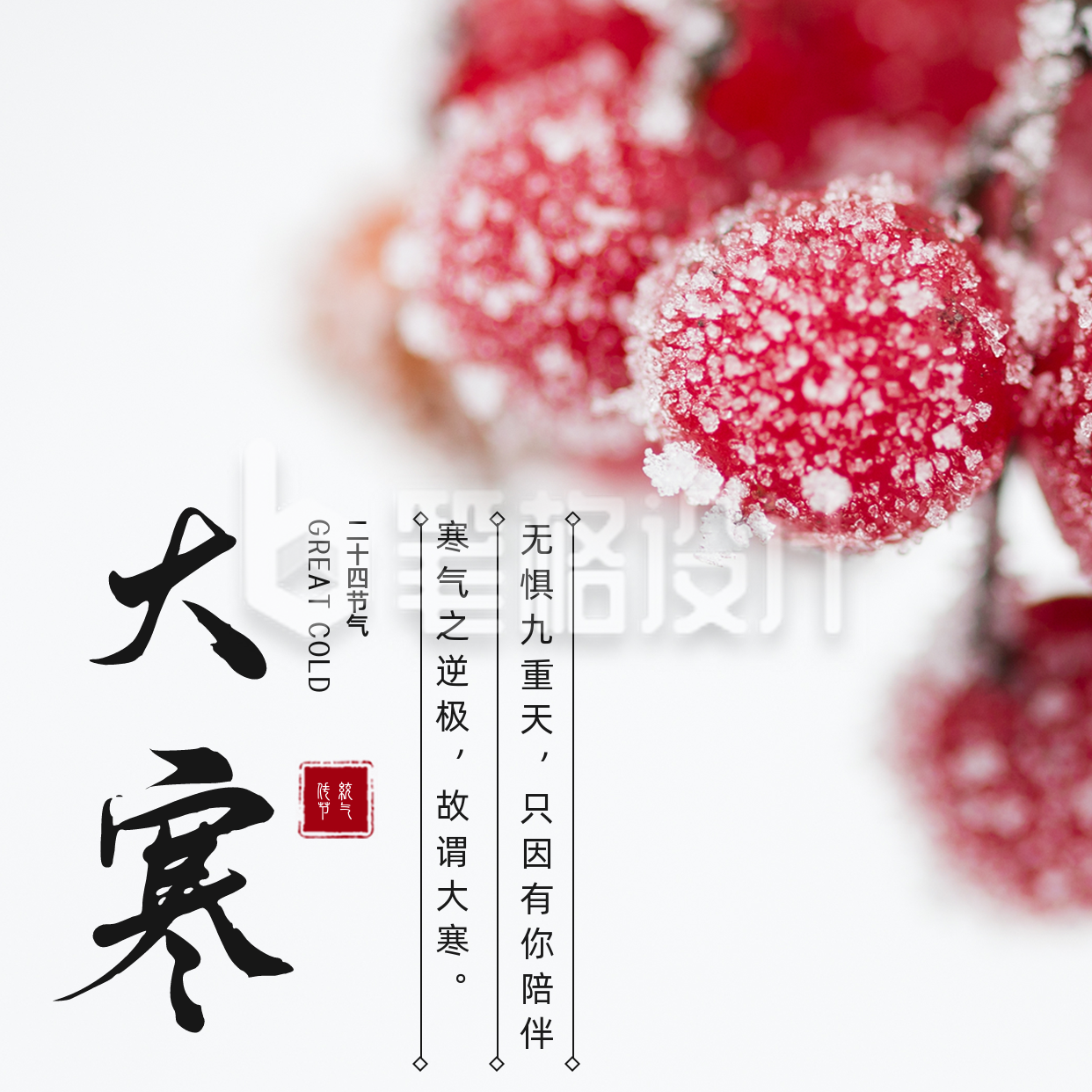 简约实景大寒节气祝福方形海报