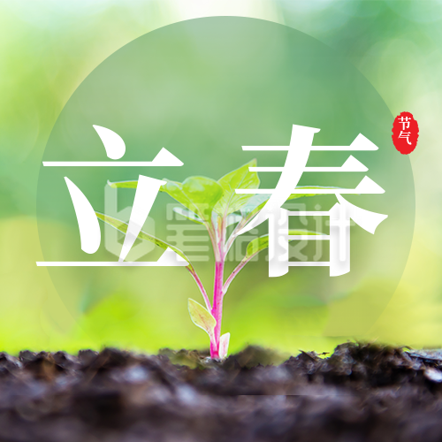 春天植物发芽立春公众号封面次图