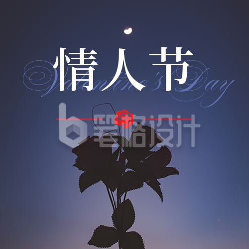 情人节简约实景夜晚玫瑰蓝色公众号次图