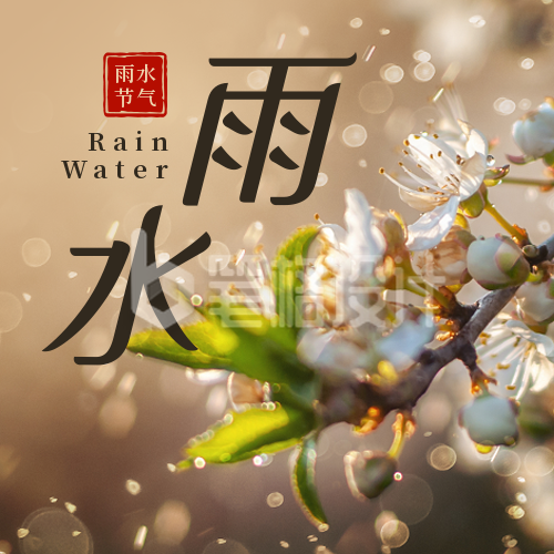 二十四节气雨水简约实景花朵黄色公众号次图