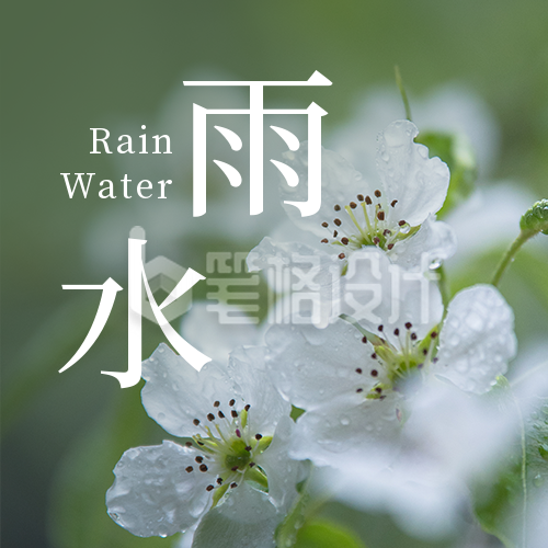 二十四节气雨水简约实景绿色公众号次图