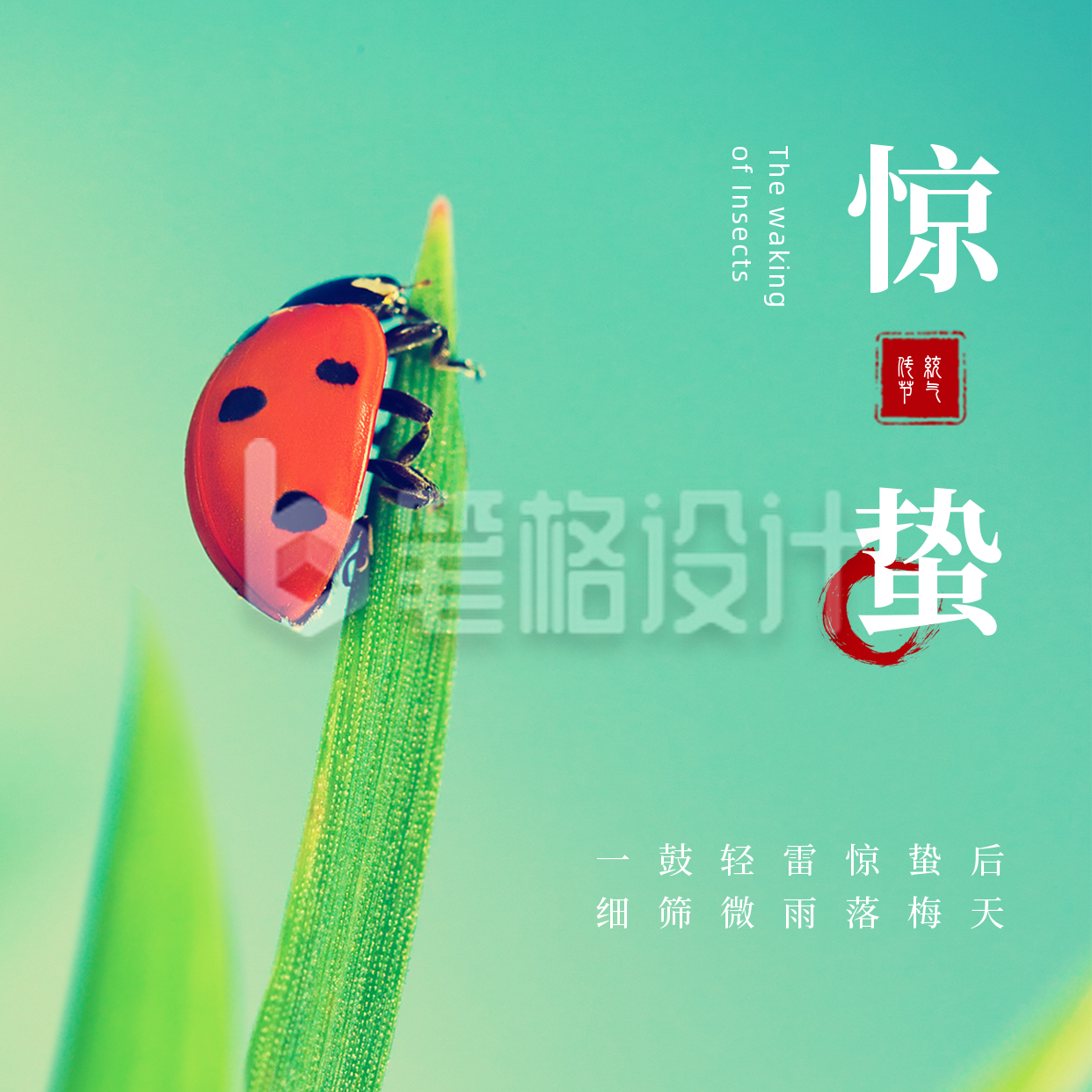 简约惊蛰节气实景祝福方形海报