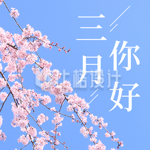 三月你好日签简约实景春季樱花蓝色公众号次图
