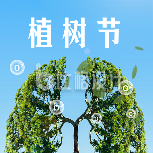 植树节绿色地球之肺宣传公众号次图