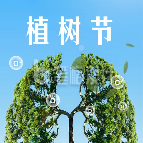 植树节绿色地球之肺宣传公众号次图