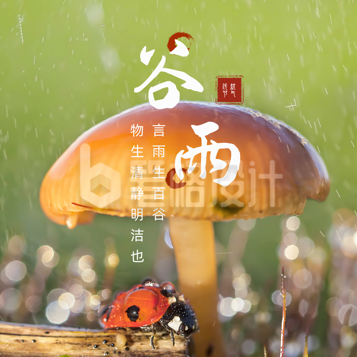 简约实景谷雨二十四节气方形海报 简约实景谷雨二十四节气方形海报