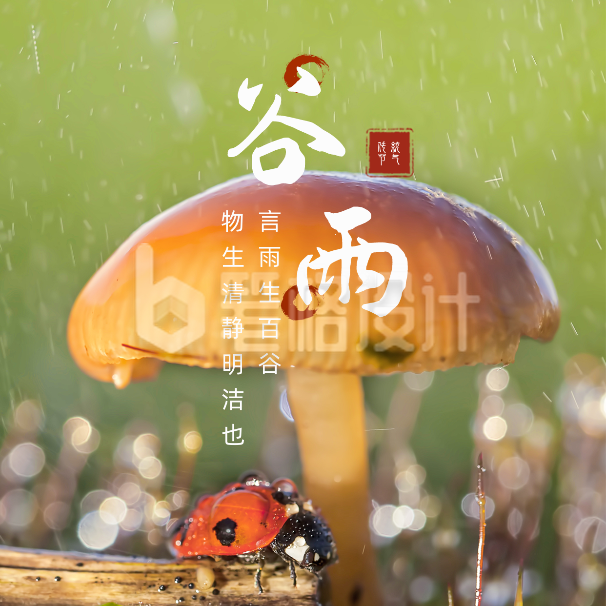 简约实景谷雨二十四节气方形海报