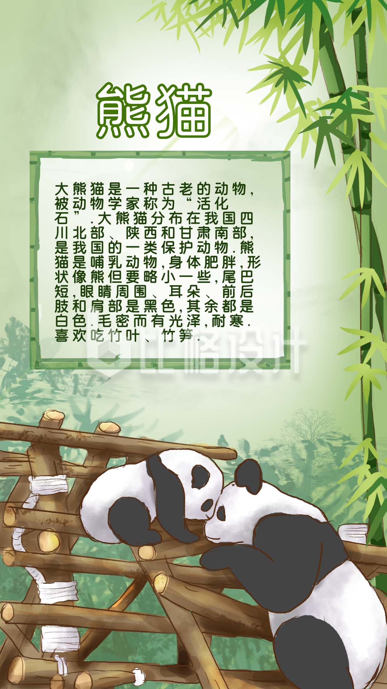 熊猫科普知识宣传手机海报