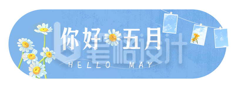 五月你好夏天蓝色清新雏菊照片墙胶囊banner