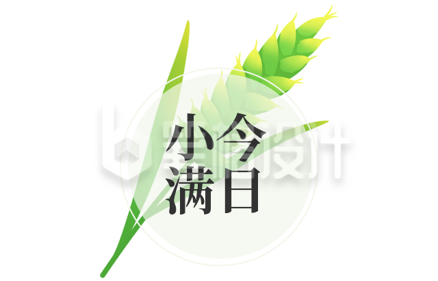 小满节气手绘小麦标题