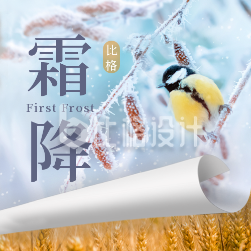 霜降传统节气宣传封面次图