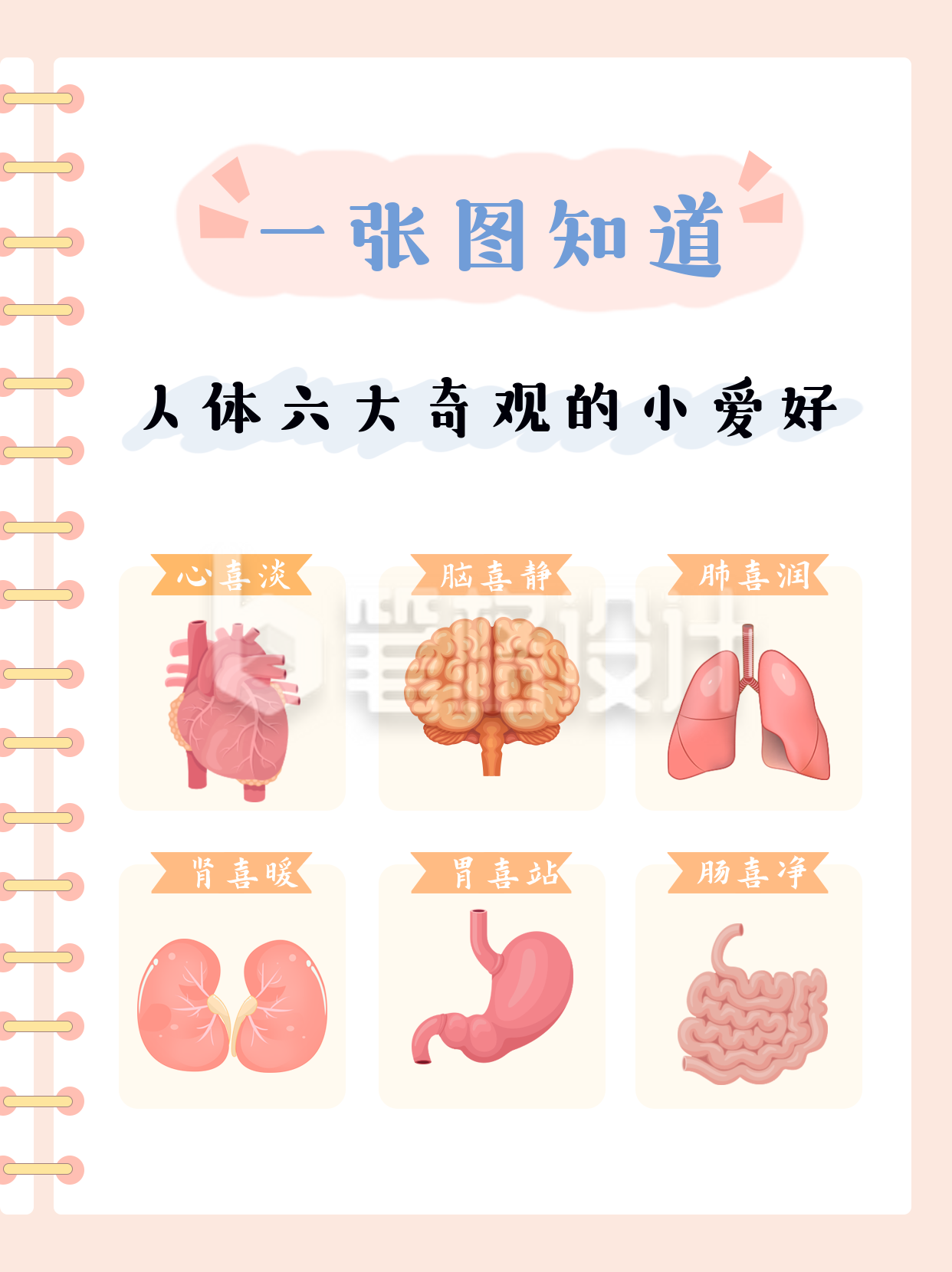 趣味人体器官健康养生知识科普小红书封面 趣味人体器官健康养生知识科普小红书封面