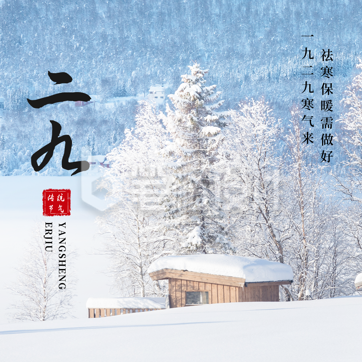 实景二九方形海报 实景二九方形海报