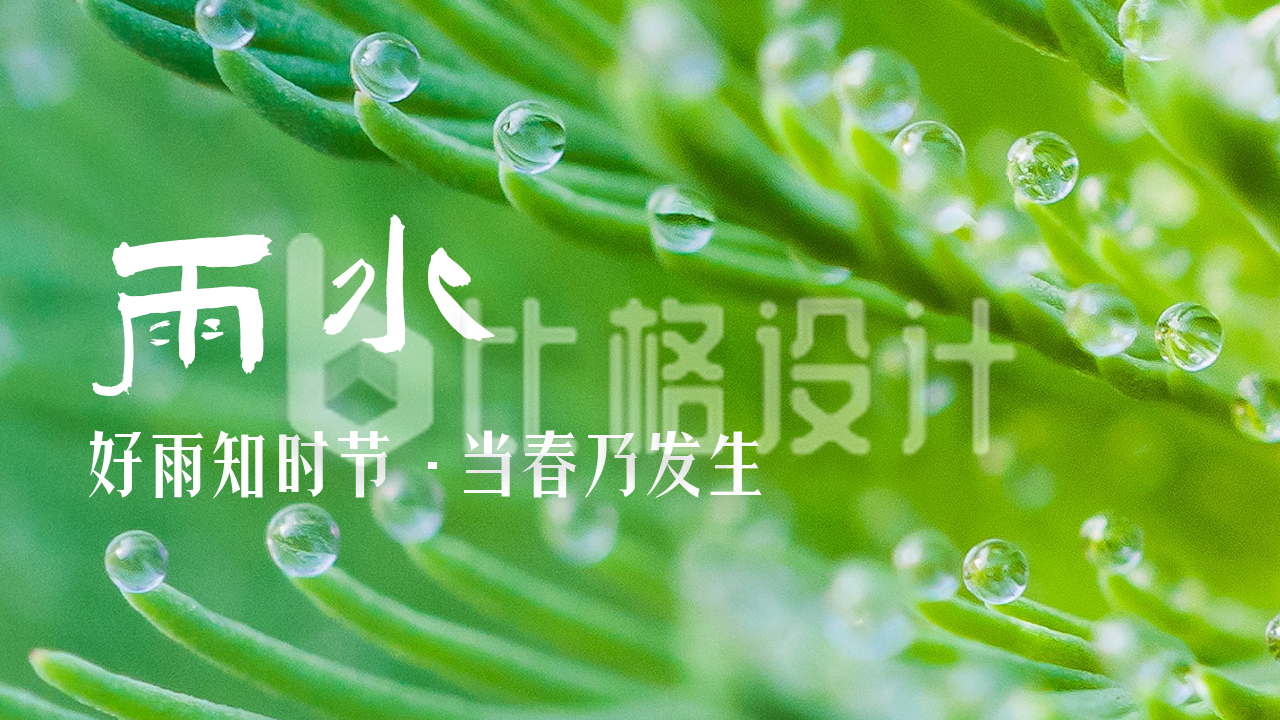 绿色唯美植物水珠雨水节气公众号图片封面