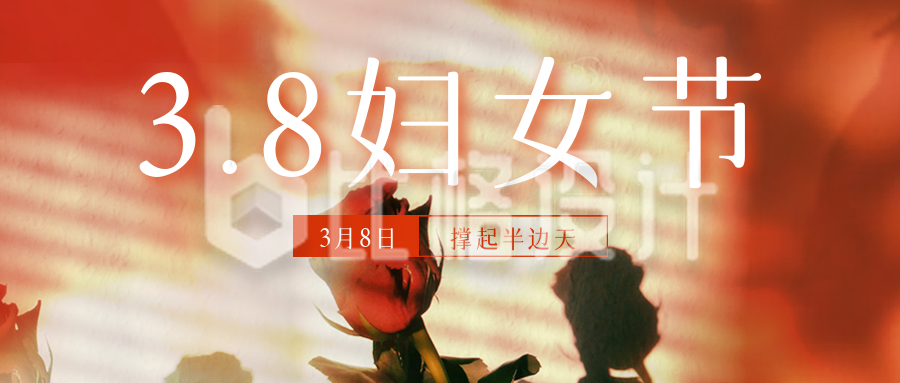38妇女节玫瑰花实景公众号首图