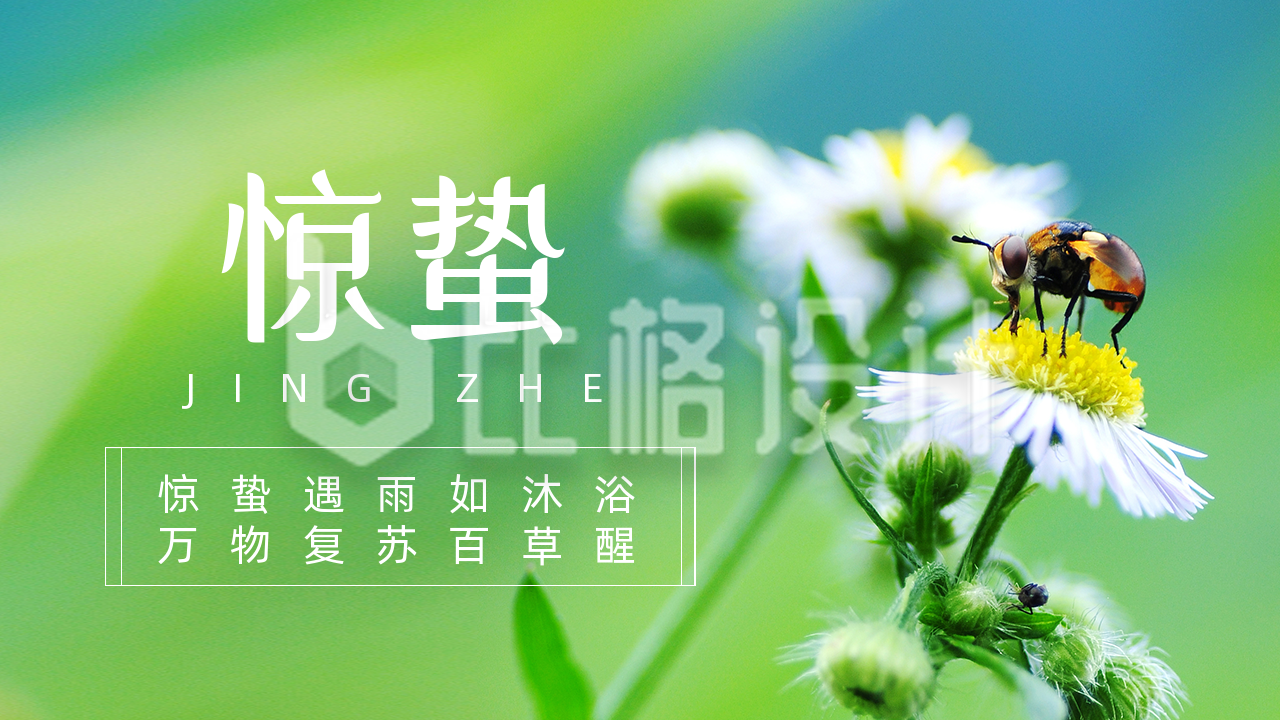 春天惊蛰二十四节气花朵实景公众号新图文封面图