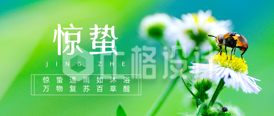 春天惊蛰二十四节气花朵实景公众号封面首图