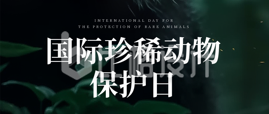 国际珍惜动物保护日封面首图