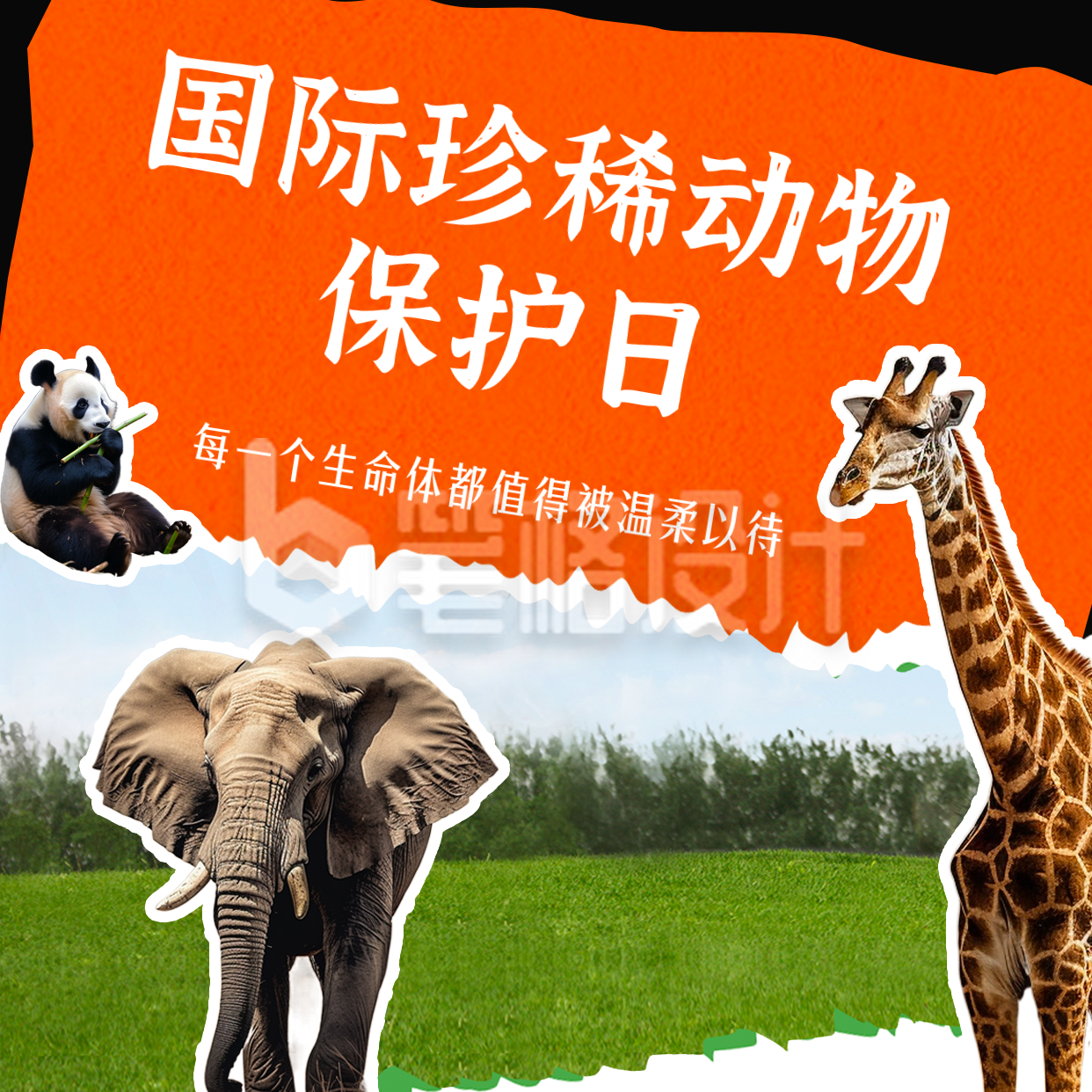 国际珍稀动物保护日保护动物方形海报 国际珍稀动物保护日保护动物方形海报