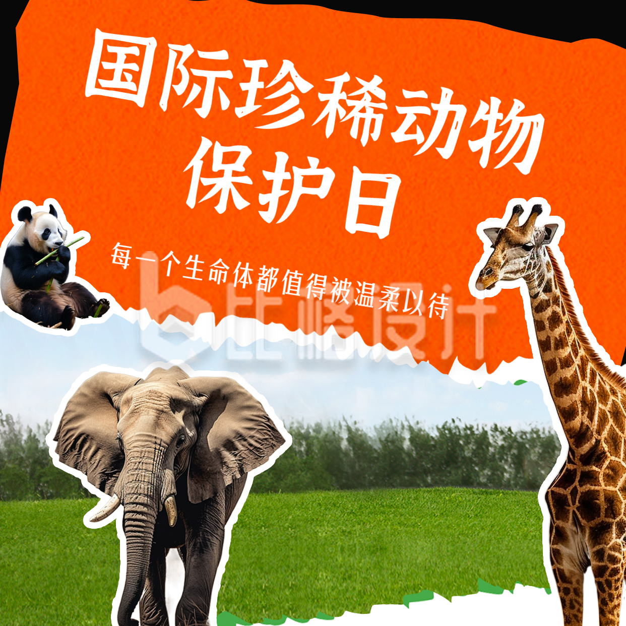 国际珍稀动物保护日保护动物方形海报