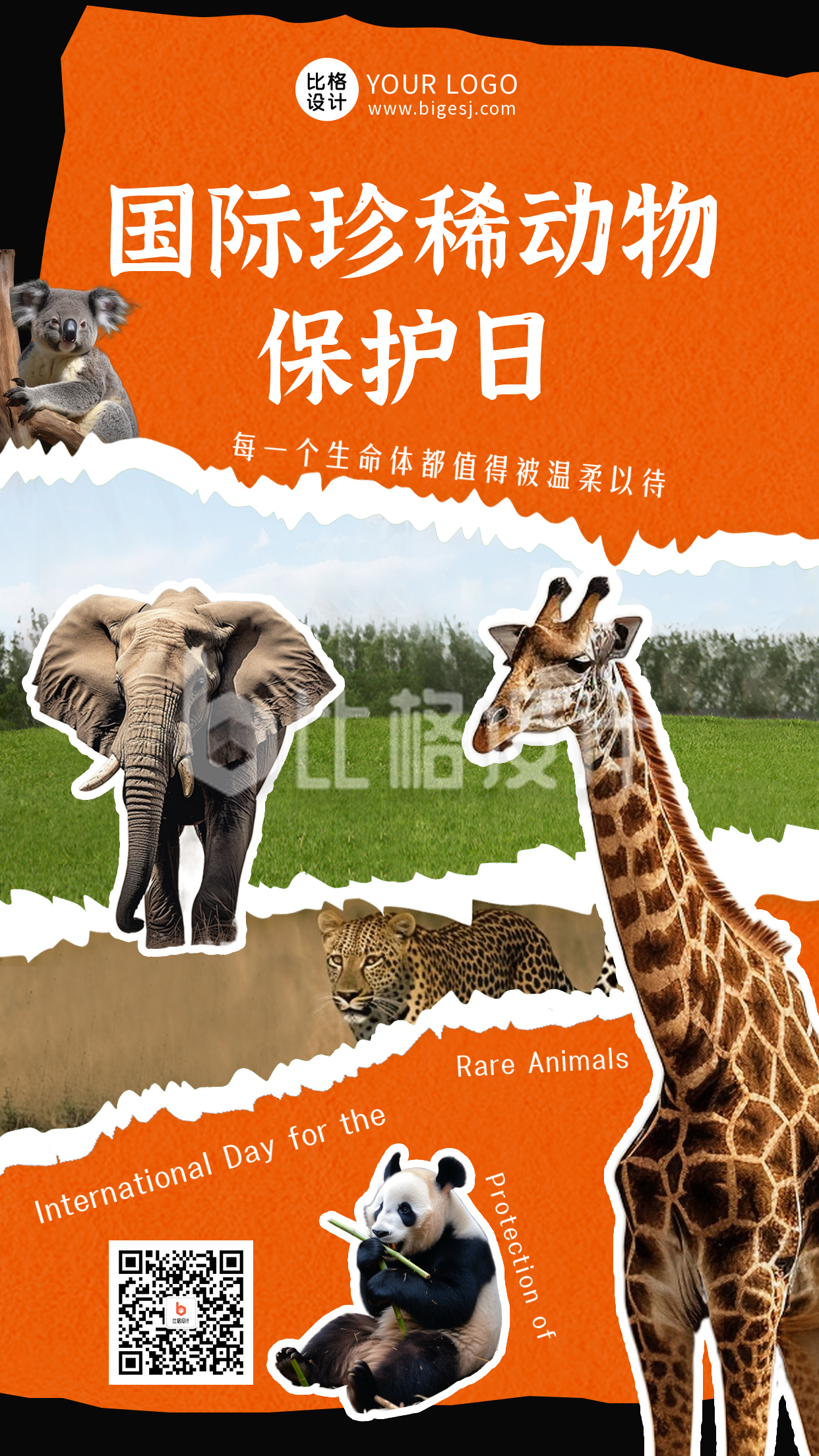 国际珍稀动物保护日保护动物手机海报