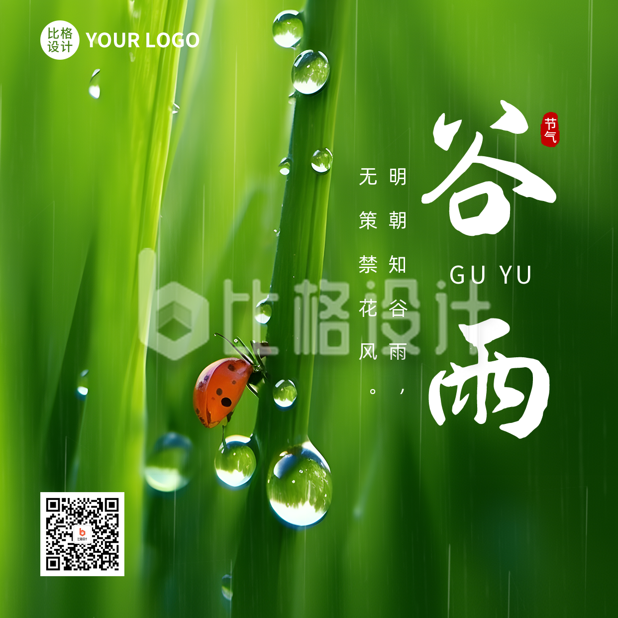 谷雨节气绿色实景方形海报