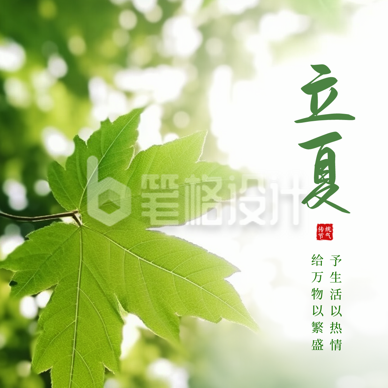 立夏实景方形海报 立夏实景方形海报
