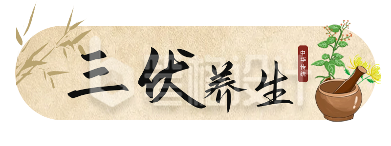 手绘三伏天中药养生健康胶囊banner