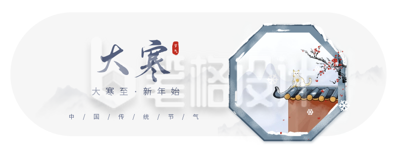 大寒节气胶囊banner