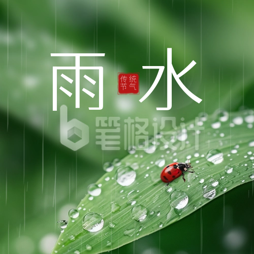 雨水节气实景七星瓢虫封面次图