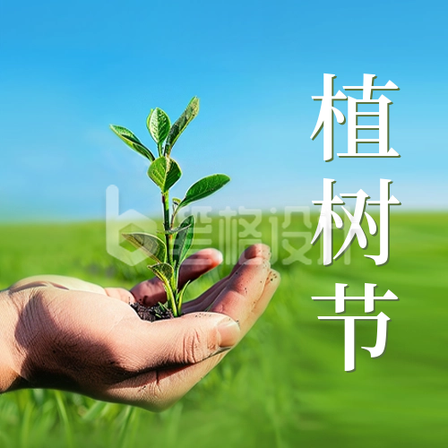 植树节实景宣传公众号封面次图