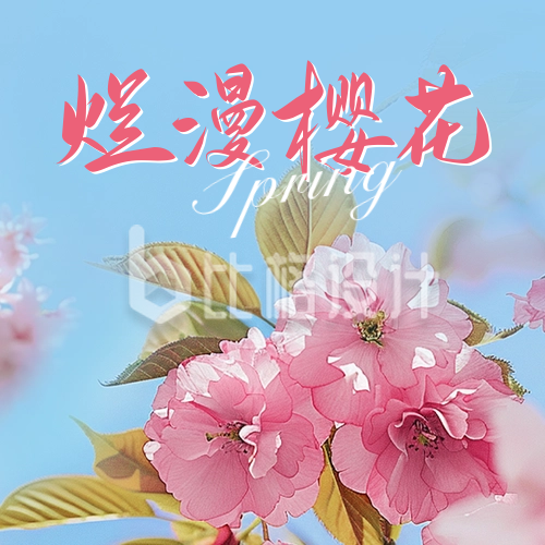 春季赏花活动宣传公众号封面次图