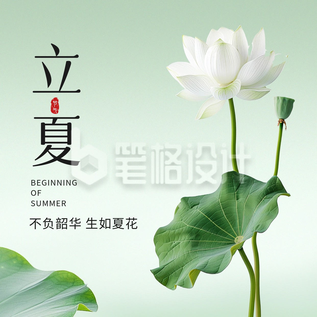 立夏实景节气方形海报 立夏实景节气方形海报